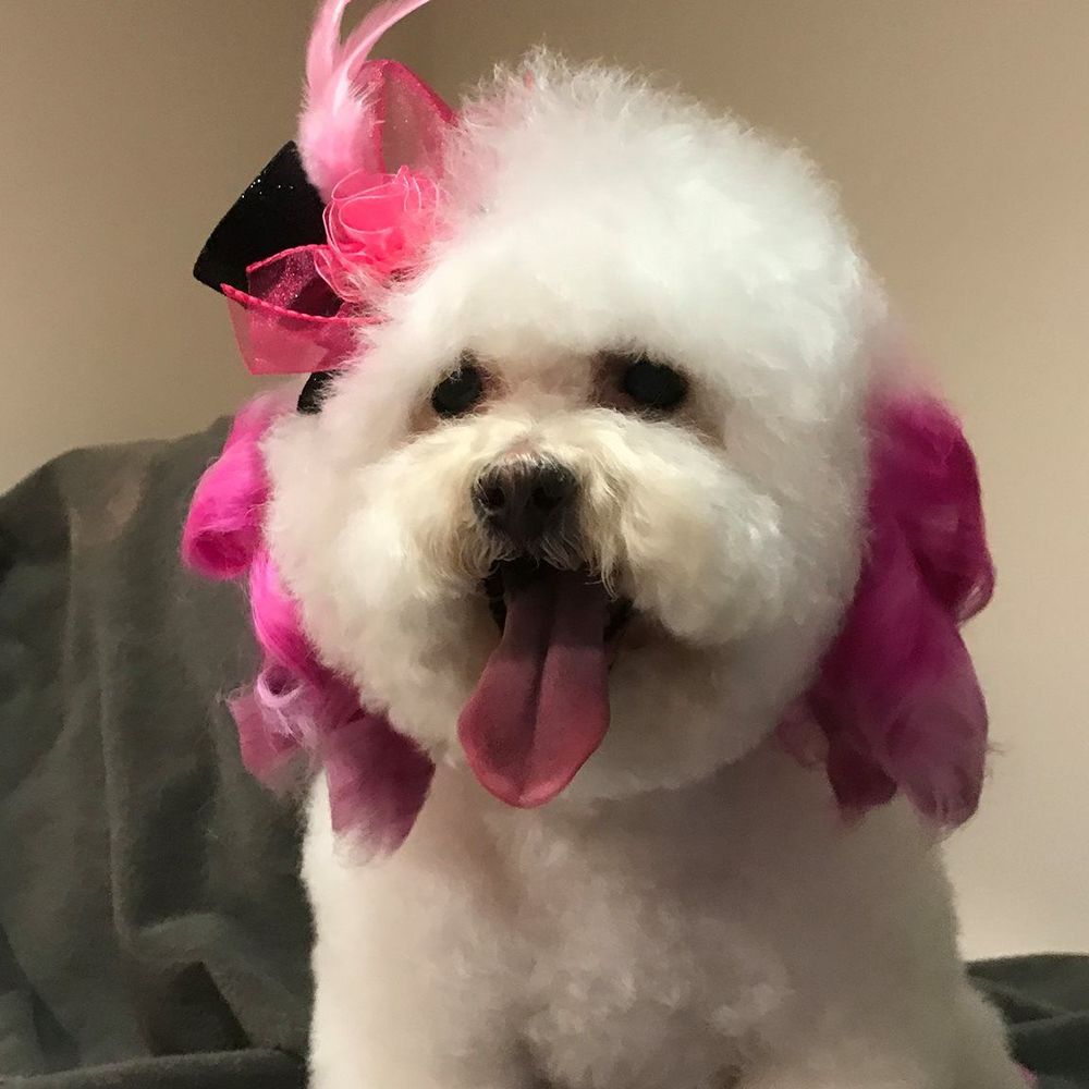 Meet your Posher, Chris